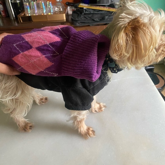 *SOLD* Dog turtleneck sweater - Picture 5 of 9